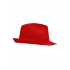 Promotion Hat