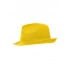 Promotion Hat