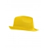 Promotion Hat