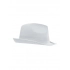 Promotion Hat