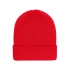 Winter Beanie