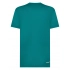 T-shirt. Flash