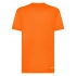 T-shirt. Flash