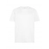 T-shirt. Contest Kids