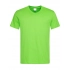 Classic-T V-Neck