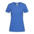 Classic-T Organic Fitted
