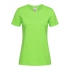 Classic-T Organic Fitted