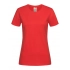 Classic-T Organic Fitted