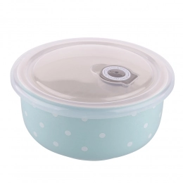 Bowl NBC 550 ml with lid minty blue