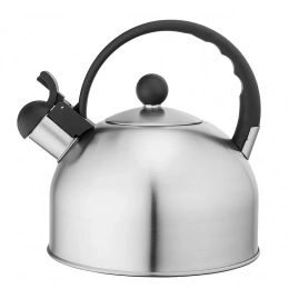 Daily Satin stainless kettle 2,5 L