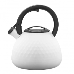 Logan stainless steel kettle 2,7 L