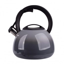 Robin stainless kettle 3 L BZ