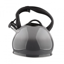 Stainless steel 3,0L kettle Jacob BZ