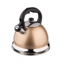 Stainless steel 3,0L kettle  Daniel