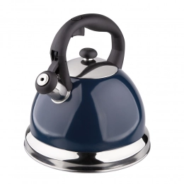 Stainless steel 3,0L kettle Darren