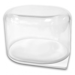 Lemon container white colour