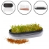 Black sprout with cress seeds 5 g 18x8.5x5 cm Black sprout with cress seeds 5 g 18x8.5x5 cm