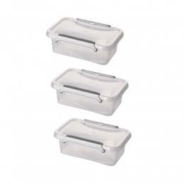 Антибактериальный набор из 3 контейнеров для продуктов с микрочастицами серебра, с крышкой и зажимами 350 мл (3010)