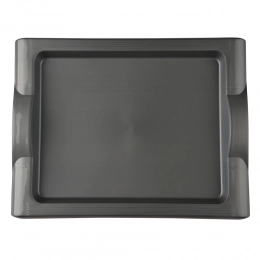 Familijna tray 51x35x7cm silver