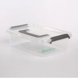 Антимикробный контейнер для хранения с микрочастицами серебра, с крышкой и ручкой 29x20x8см 3,1л (1313)