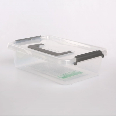 
                                                Antibacterial storage container with micro-particles of silver, with lid and handle 29x20x8cm 3,1l (1313)
                                                