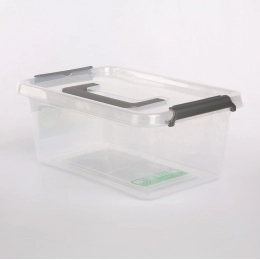 Антимикробный контейнер для хранения с микрочастицами серебра, с крышкой и ручкой 29x20x12см 4,5л (1323)