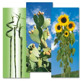 Cotton cover I Love S/M 129x48cm for ironing board 122x38cm