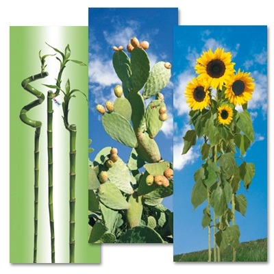 
                                            Cotton cover I Love S/M 129x48cm for ironing board 122x38cm
                                            