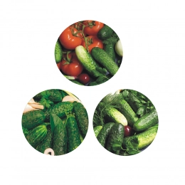 Set of 10 caps fi 82 6z