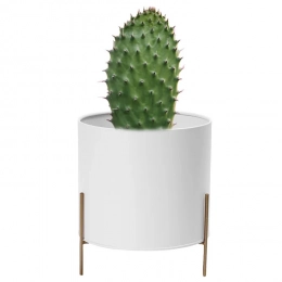 White metal cover, diameter 17 cm, height 10 cm, on a golden base