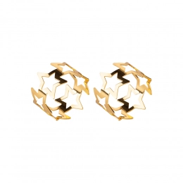 Set of 2 napkin rings, star design, in a PVC packaging