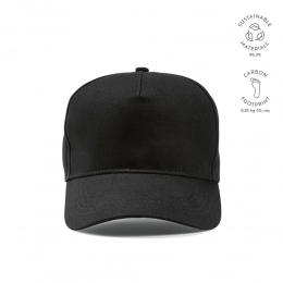 Hendrix Cap