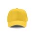 Hendrix Cap