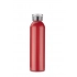 Aluminum bottle ALLUMI 650 ml