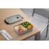 Container TAPAS 850 ml