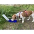 Pet bottle MAX 500 ml