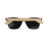 Sunglasses RAIO