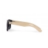 Sunglasses RAIO