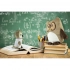 Плюшевая сова, подушка PROFESSOWL