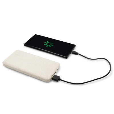 
                                                Power bank из пшеничной соломы 8000 мАч | Дженкинс
                                                