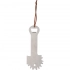 Barbecue cleaner