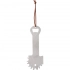 Barbecue cleaner