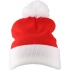 Christmas beanie