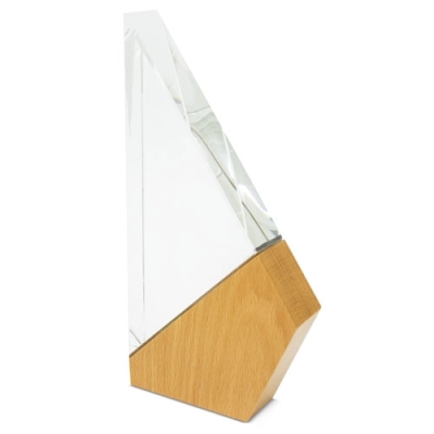 
                                                TROPHY 
                                                