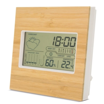 
                                            BAMBOO WEATHER STATION 
                                            