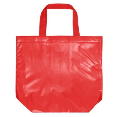 
                                                PVC COOLER BAG
                                                