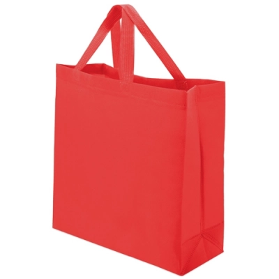 
                                                NON WOVEN BAG 
