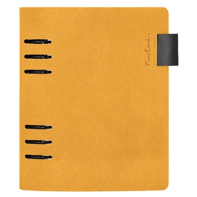 
                                                AGENDA PIERRE CARDIN 
