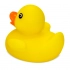 RUBBER DUCK “PETRI”