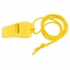 WHISTLE + LANYARD 